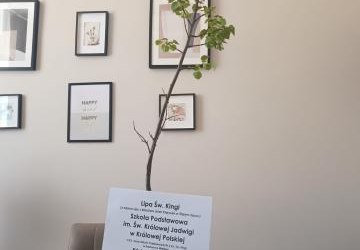 Lipa Św. Kingi
