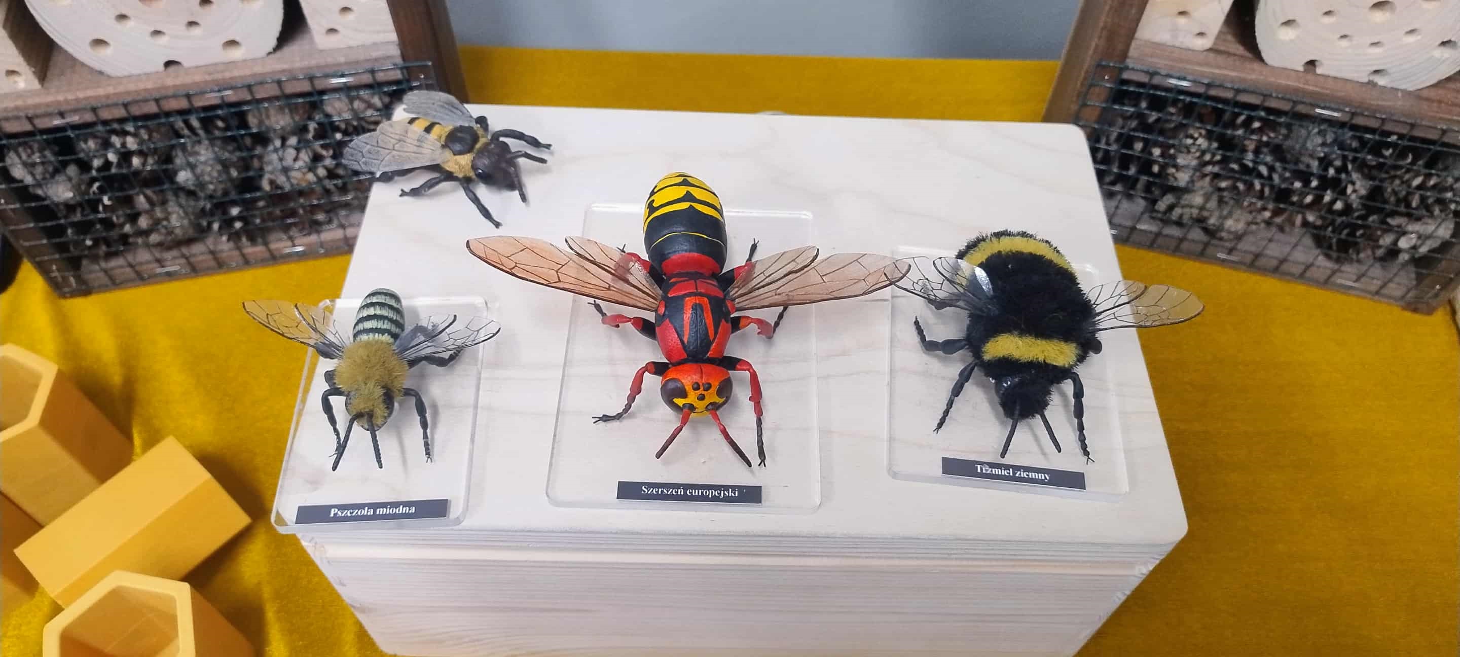 Dzień z zapylaczami