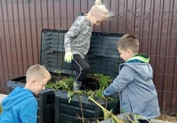 II Dzień z zapylaczami