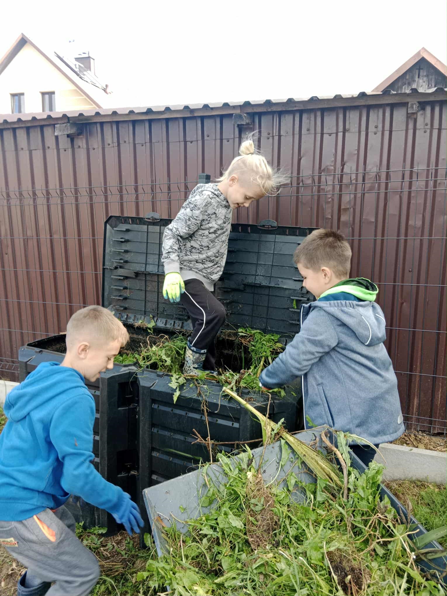 II Dzień z zapylaczami