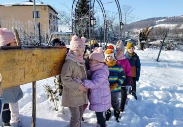 Pamiętamy o naszych skrzydlatych przyjaciołach