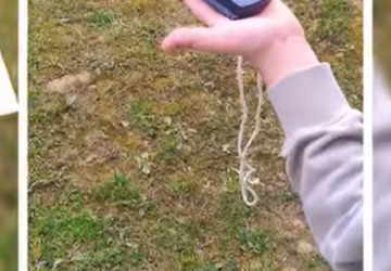 Lekcja przyrody w terenie