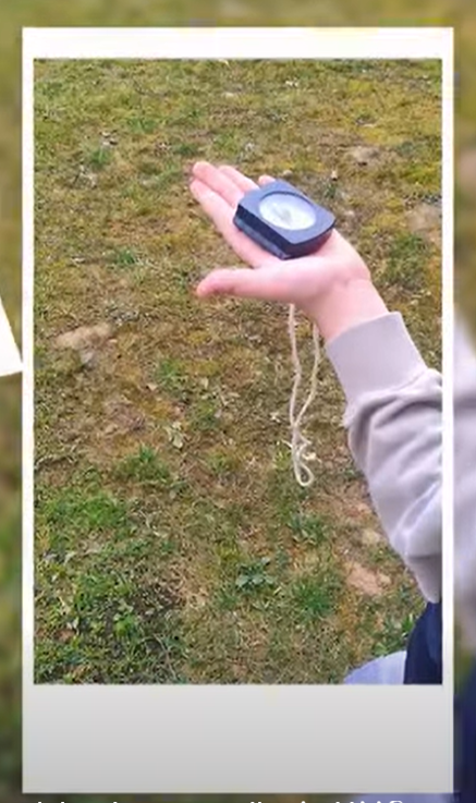 Lekcja przyrody w terenie